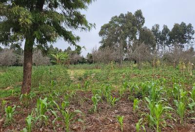 1.2 ac Land at Limuru - Kamandura