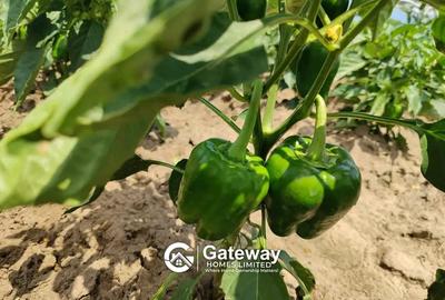 1 ac Land in Malindi