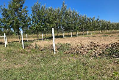 505 ac Residential Land at Burguret - 2