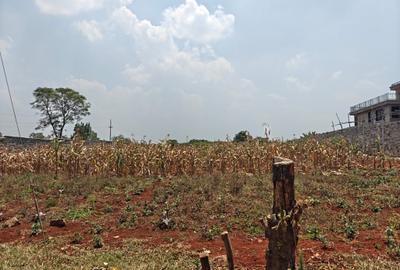 0.5 ac Land at Runda