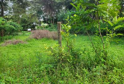 Land in Karen
