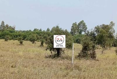 0.25 ac Land at Enkasiti - 4