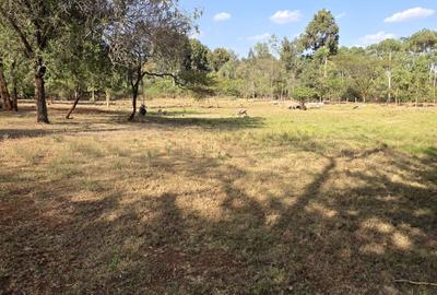 Commercial Property with Service Charge Included at Langata Road - 3