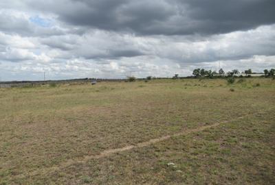 Land at Ngelani