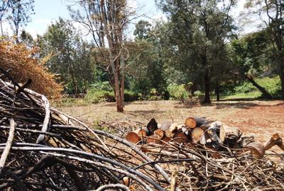 Land in Kiambu Road - 2
