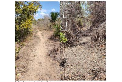 Land in Malindi