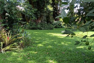 1.1 ac Land in Runda