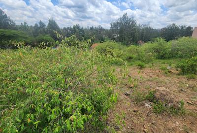 0.2 ha Commercial Land at Merisho Road - 4