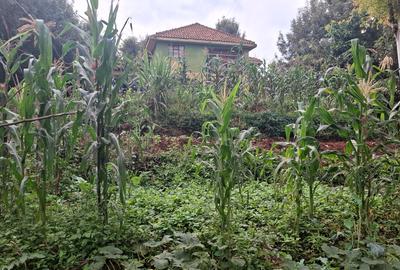 Land in Ngong - 4