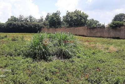 Residential Land at Runda Mumwe