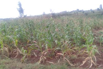 64,000 ft² Land at Kiambu Riabai