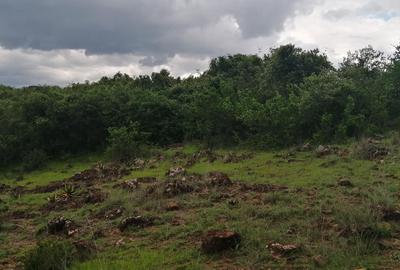 4,000 ac Land at Rumuruti