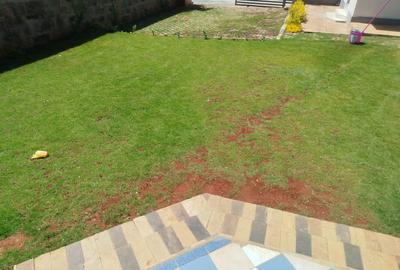 4 Bed House with En Suite in Karen - 3