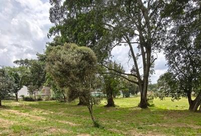 1 ac Land in Karen