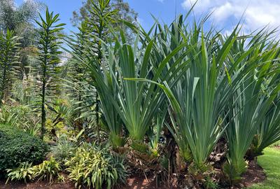 2 Bed House with En Suite in Muthaiga - 2