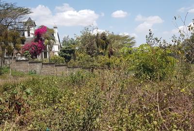Residential Land at Flem Tree Off Ruaka Road - 4