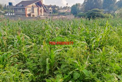 0.2 ha Residential Land at Ondiri