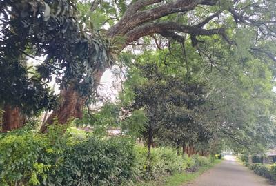 Residential Land at Paradise Lost/Mhasibu - 3