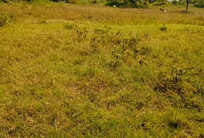 Land at Membley