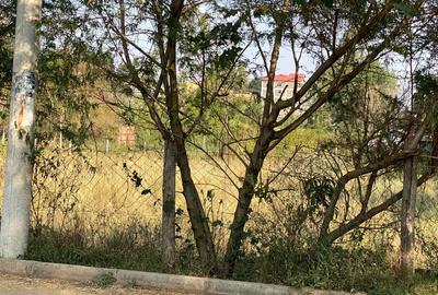 0.5 ac Commercial Land at Thogoto