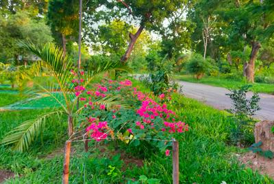 Residential Land in Nyali Area