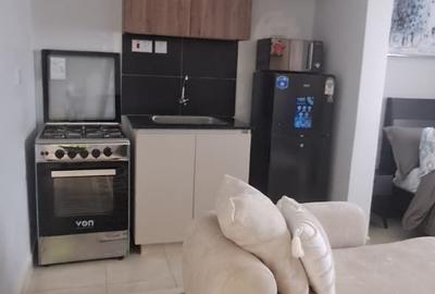 Studio Apartment with En Suite in Naivasha Road - 2