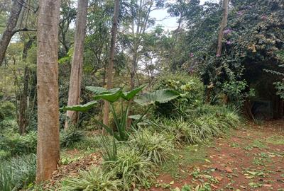 Residential Land at Donyo Sabuk