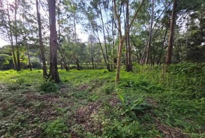 0.5 ac Land in Lake View - 4