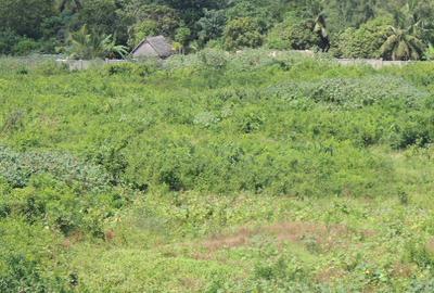 1,012 m² Residential Land at Diani Beach Road - Kinondo