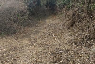 Residential Land in Kiserian - 4