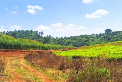 1 ac Residential Land at Tigoni