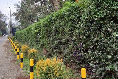 0.5 ac Land in Lavington