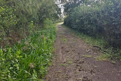 5 ac Land in Karen - 4