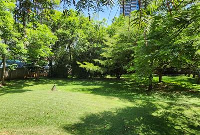 4 Bed House with Staff Quarters in Lavington - 3