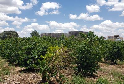 Land at Ruiru