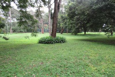 Residential Land at Mwitu Estate