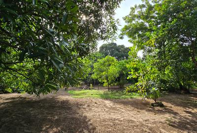 1 ac Land at Kikambala - 2
