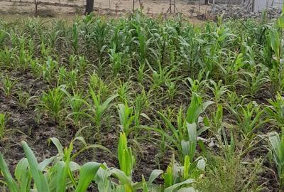 0.113 ac Residential Land in Ongata Rongai - 3