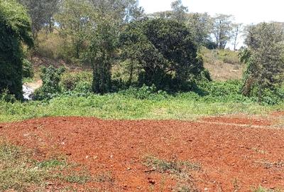 0.5 ac Residential Land at Muthithi - 4