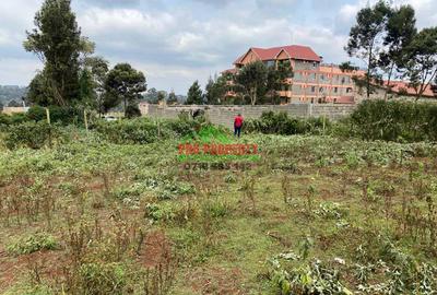 0.1 ha Commercial Land in Limuru - 4
