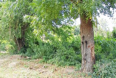 Land at Mtwapa - 2