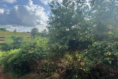 25 ac Land in Kitisuru - 3