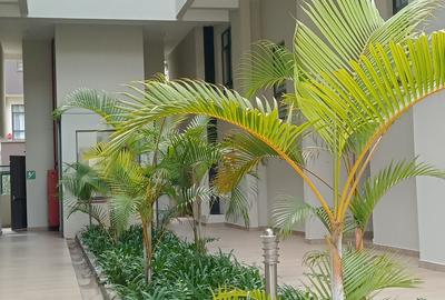 4 Bed Townhouse in Rosslyn