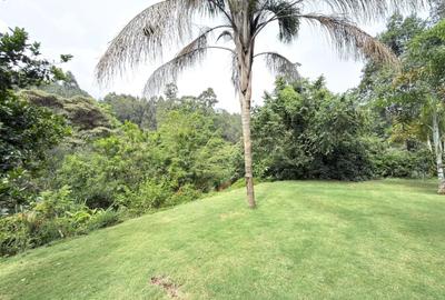 Serviced 2 Bed Apartment with En Suite in Gigiri - 3