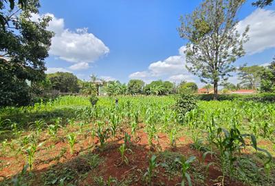 Residential Land in Runda - 4