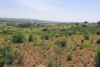 Land at Ngoliba