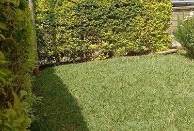 4 Bed Villa in Lavington - 4