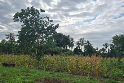 6 ac Land at Bomani - 2