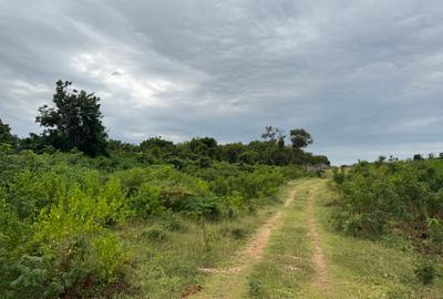 10 ac Land in Vipingo - 4