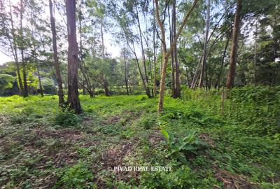 0.5 ac Land in Lake View - 2